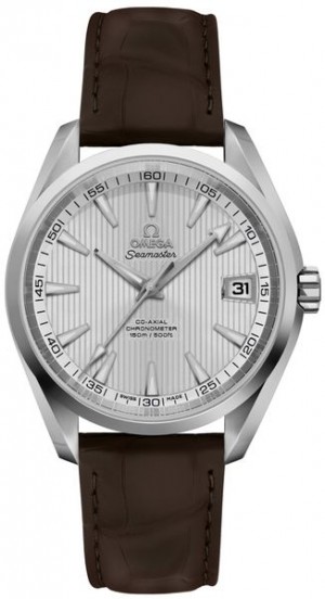 Omega Seamaster Aqua Terra 231.13.39.21.02.001