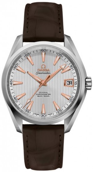 Omega Seamaster Aqua Terra 231.13.39.21.02.002