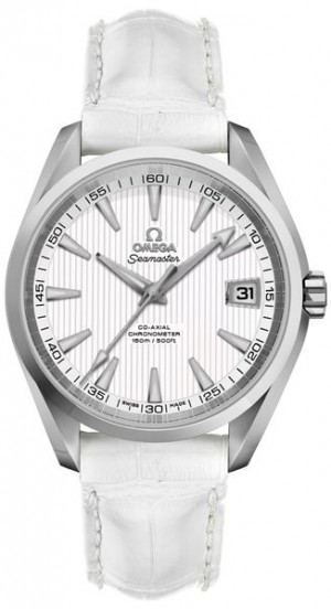 Omega Seamaster Aqua Terra Cronometro Aqua Terra Orologio da uomo con quadrante in argento 231.10.39.21.02.001